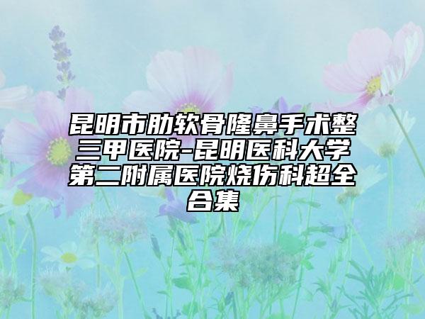 昆明市肋软骨隆鼻手术整三甲医院-昆明医科大学第二附属医院烧伤科超全合集