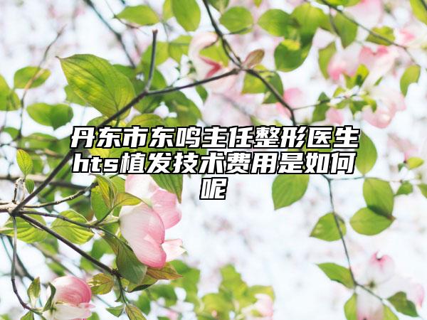 丹东市东鸣主任整形医生hts植发技术费用是如何呢