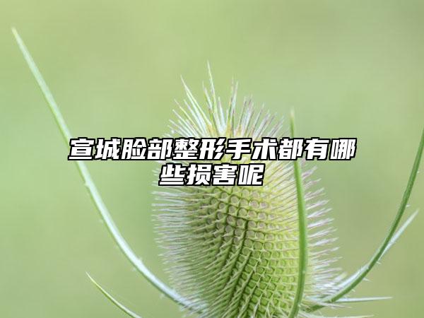 宣城脸部整形手术都有哪些损害呢