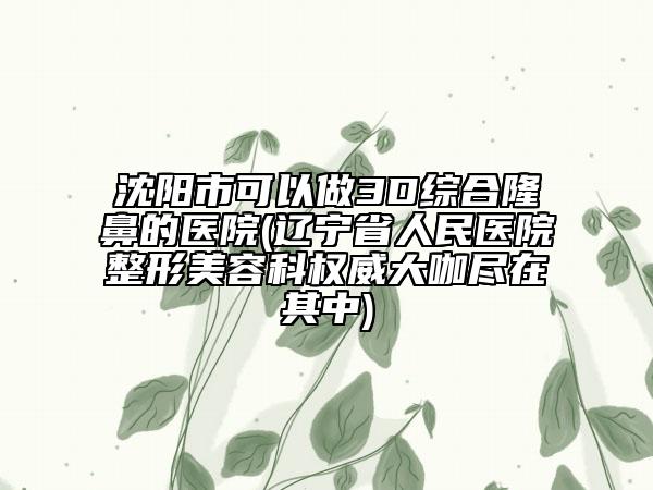 沈阳市可以做3D综合隆鼻的医院(辽宁省人民医院整形美容科权威大咖尽在其中)