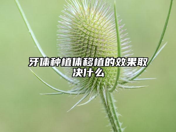 牙体种植体移植的效果取决什么