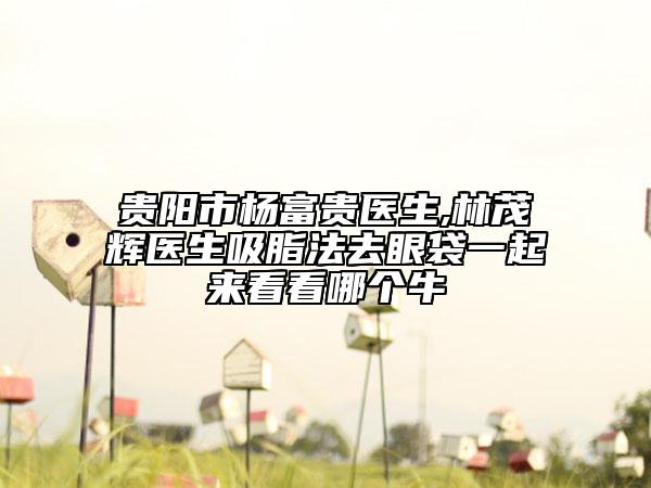 贵阳市杨富贵医生,林茂辉医生吸脂法去眼袋一起来看看哪个牛