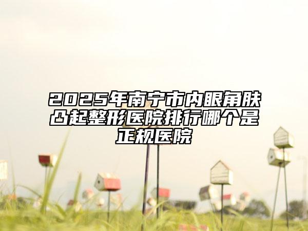 2025年南宁市内眼角肤凸起整形医院排行哪个是正规医院
