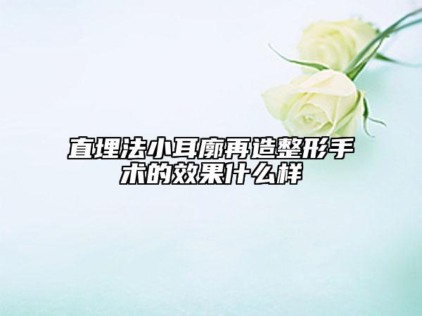 直埋法小耳廓再造整形手术的效果什么样