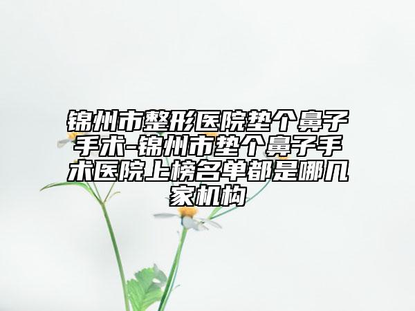 锦州市整形医院垫个鼻子手术-锦州市垫个鼻子手术医院上榜名单都是哪几家机构