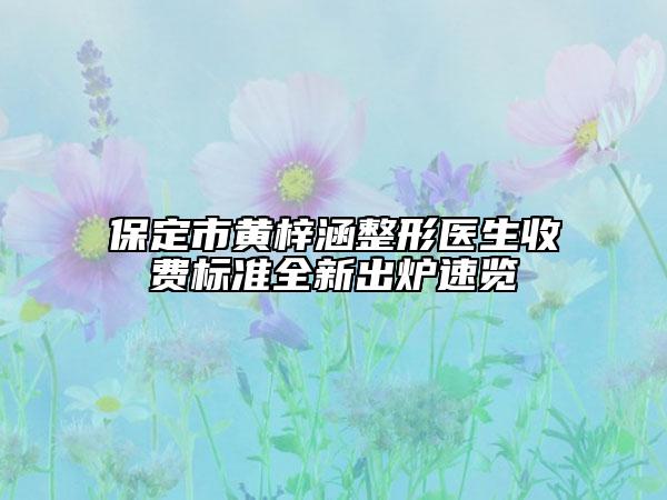 保定市黄梓涵整形医生收费标准全新出炉速览