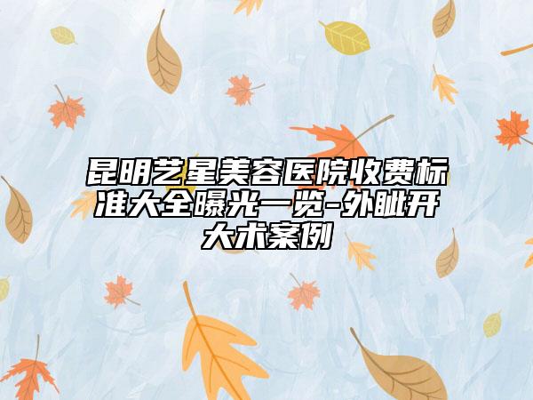 昆明艺星美容医院收费标准大全曝光一览-外眦开大术案例