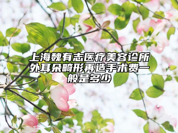 上海魏有志医疗美容诊所外耳朵畸形再造手术费一般是多少