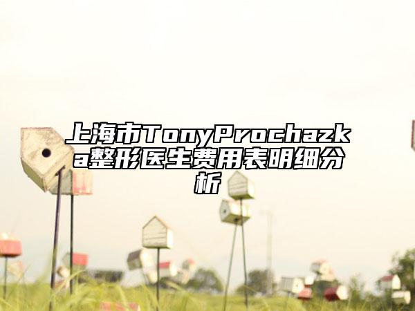 上海市TonyProchazka整形医生费用表明细分析