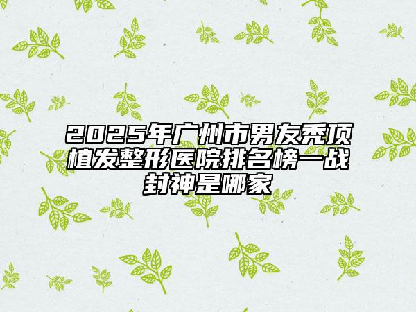 2025年广州市男友秃顶植发整形医院排名榜一战封神是哪家
