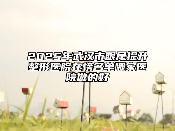 2025年武汉市眼尾提升整形医院在榜名单哪家医院做的好