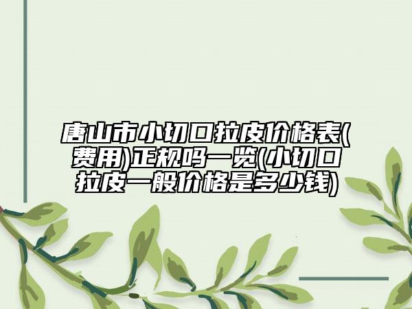 唐山市小切口拉皮价格表(费用)正规吗一览(小切口拉皮一般价格是多少钱)