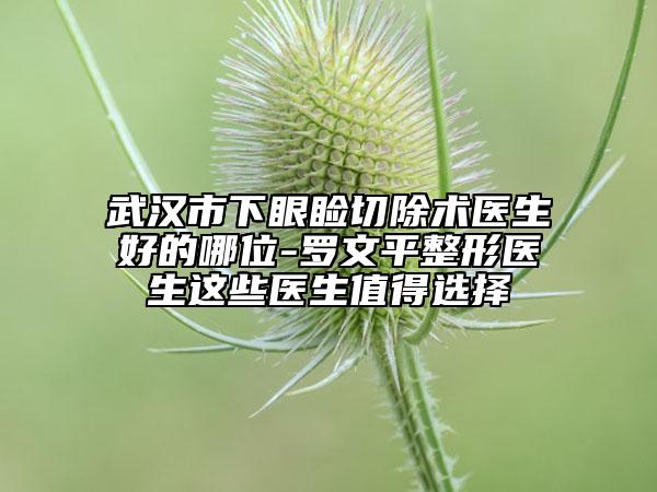 武汉市下眼睑切除术医生好的哪位-罗文平整形医生这些医生值得选择