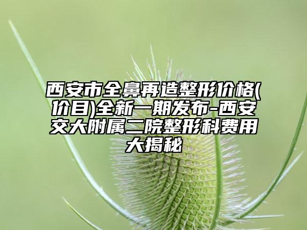 西安市全鼻再造整形价格(价目)全新一期发布-西安交大附属二院整形科费用大揭秘