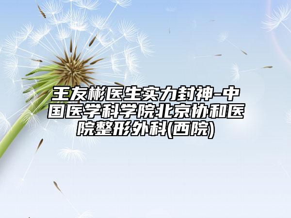 王友彬医生实力封神-中国医学科学院北京协和医院整形外科(西院)