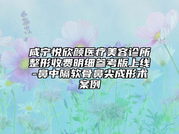 咸宁悦欣颜医疗美容诊所整形收费明细参考版上线-鼻中隔软骨鼻尖成形术案例