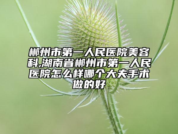 郴州市第一人民医院美容科,湖南省郴州市第一人民医院怎么样哪个大夫手术做的好