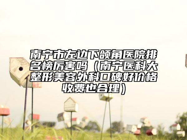 南宁市左边下颌角医院排名榜厉害吗（南宁医科大整形美容外科口碑好价格收费也合理）
