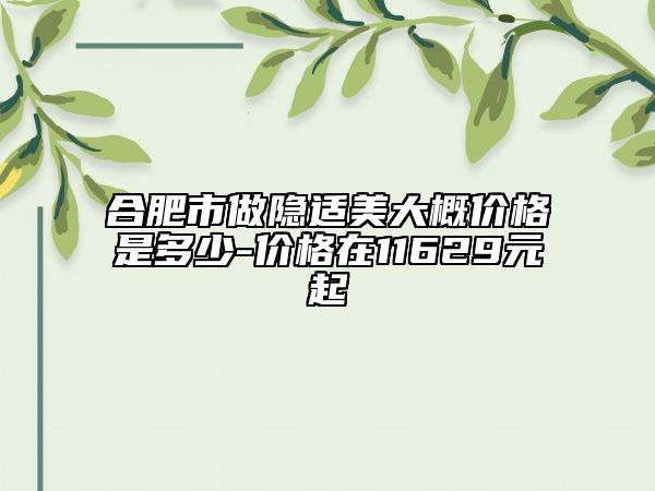 合肥市做隐适美大概价格是多少-价格在11629元起