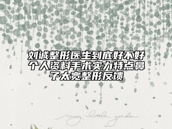 刘诚整形医生到底好不好个人资料手术实力特点鼻子太宽整形反馈