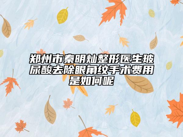 郑州市秦明灿整形医生玻尿酸去除眼角纹手术费用是如何呢