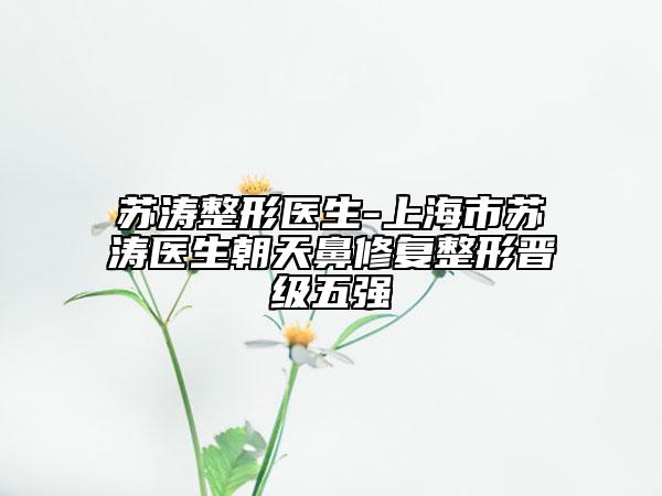 苏涛整形医生-上海市苏涛医生朝天鼻修复整形晋级五强