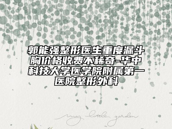 郭能强整形医生重度漏斗胸价格收费不稀奇-华中科技大学医学院附属第一医院整形外科