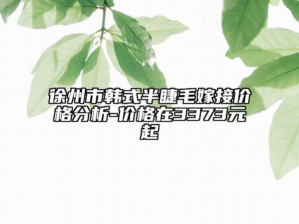 徐州市韩式半睫毛嫁接价格分析-价格在3373元起