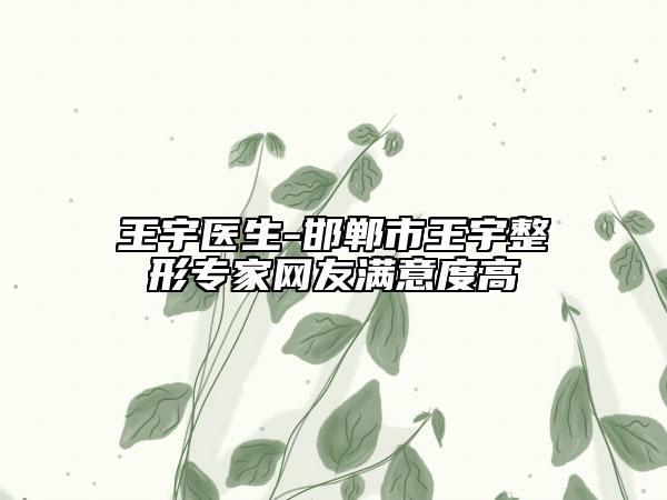 王宇医生-邯郸市王宇整形专家网友满意度高