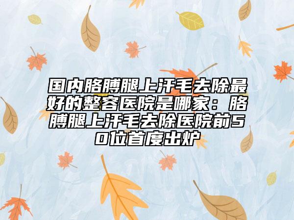 国内胳膊腿上汗毛去除最好的整容医院是哪家：胳膊腿上汗毛去除医院前50位首度出炉