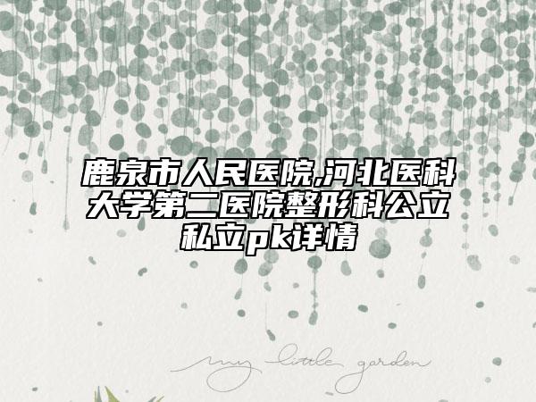 鹿泉市人民医院,河北医科大学第二医院整形科公立私立pk详情