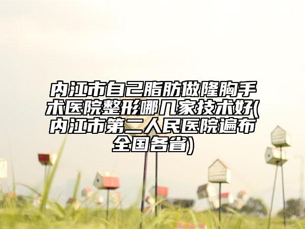内江市自己脂肪做隆胸手术医院整形哪几家技术好(内江市第二人民医院遍布全国各省)