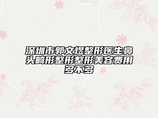 深圳市郭文煜整形医生鼻头畸形整形整形美容费用多不多