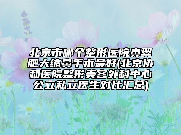 北京市哪个整形医院鼻翼肥大缩鼻手术最好(北京协和医院整形美容外科中心公立私立医生对比汇总)