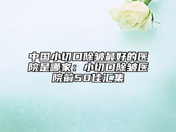 中国小切口除皱最好的医院是哪家：小切口除皱医院前50佳汇集