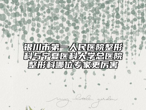 银川市第一人民医院整形科与宁夏医科大学总医院整形科哪位专家更厉害