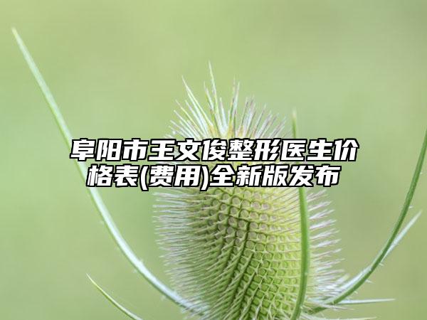 阜阳市王文俊整形医生价格表(费用)全新版发布