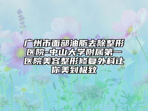 广州市面部油脂去除整形医院-中山大学附属第一医院美容整形修复外科让你美到极致