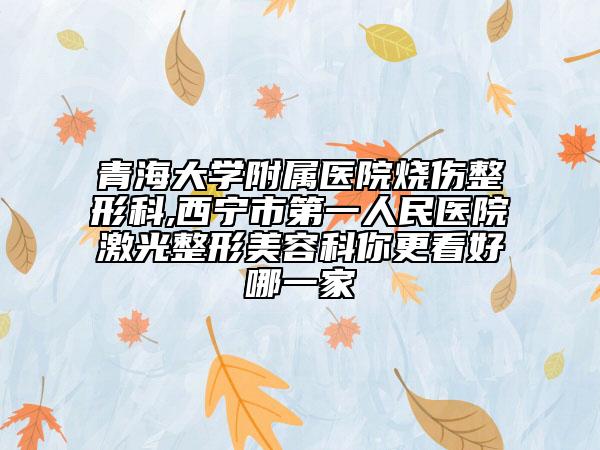 青海大学附属医院烧伤整形科,西宁市第一人民医院激光整形美容科你更看好哪一家