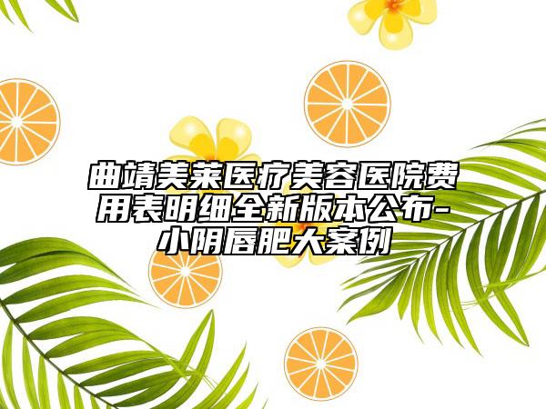 曲靖美莱医疗美容医院费用表明细全新版本公布-小阴唇肥大案例