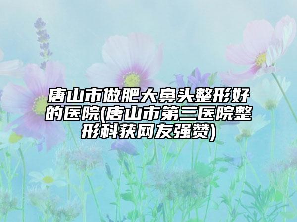 唐山市做肥大鼻头整形好的医院(唐山市第三医院整形科获网友强赞)