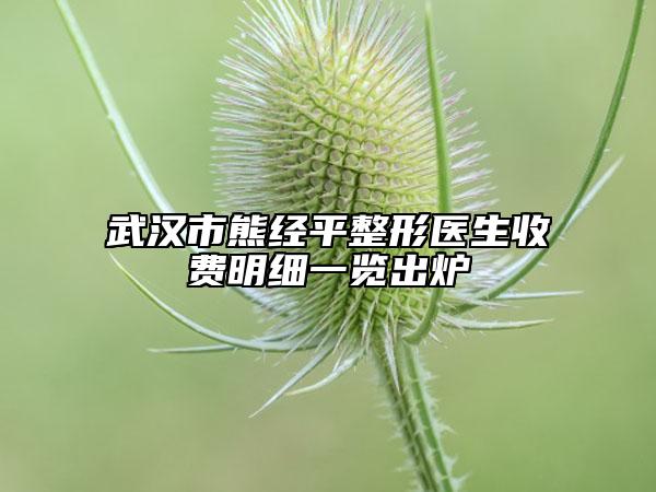 武汉市熊经平整形医生收费明细一览出炉