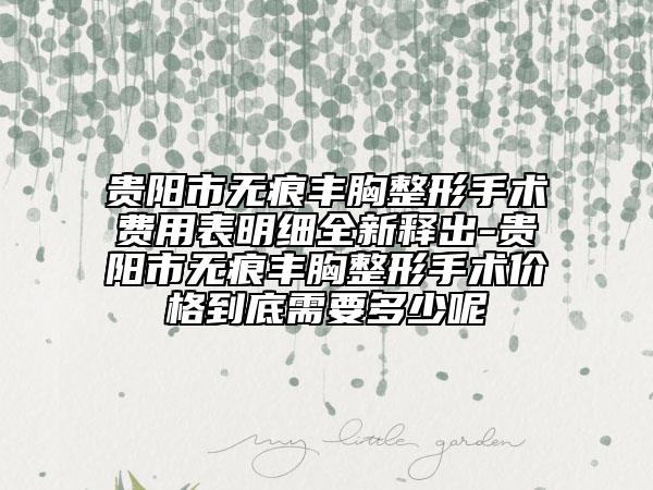 贵阳市无痕丰胸整形手术费用表明细全新释出-贵阳市无痕丰胸整形手术价格到底需要多少呢