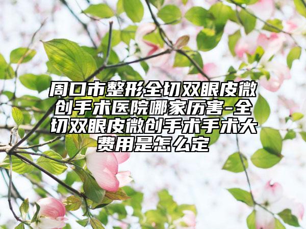 周口市整形全切双眼皮微创手术医院哪家历害-全切双眼皮微创手术手术大费用是怎么定