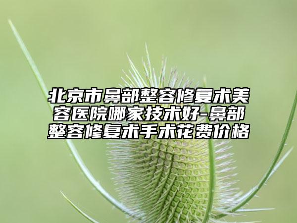 北京市鼻部整容修复术美容医院哪家技术好-鼻部整容修复术手术花费价格