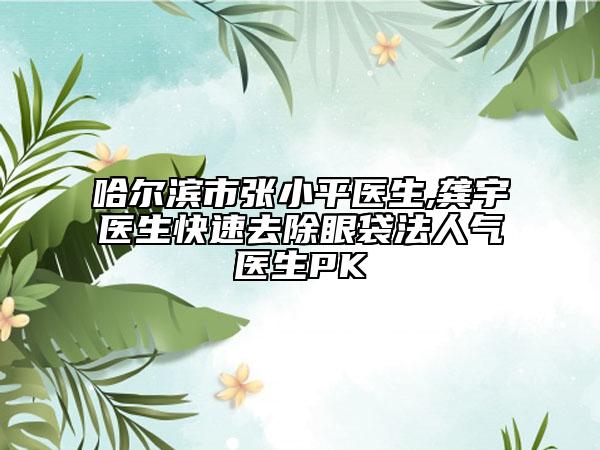 哈尔滨市张小平医生,龚宇医生快速去除眼袋法人气医生PK