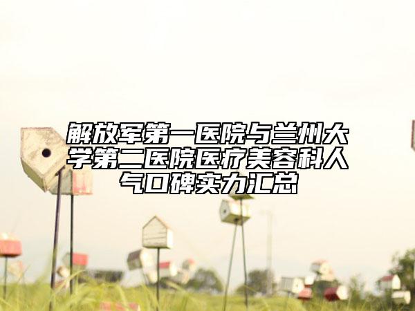 解放军第一医院与兰州大学第二医院医疗美容科人气口碑实力汇总