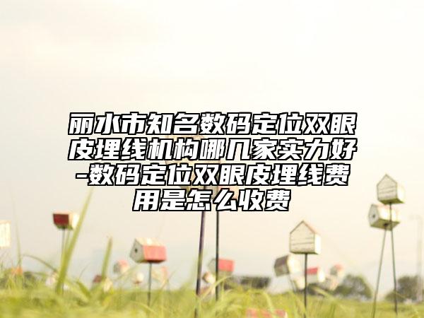 丽水市知名数码定位双眼皮埋线机构哪几家实力好-数码定位双眼皮埋线费用是怎么收费