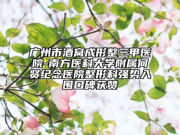 广州市酒窝成形整三甲医院-南方医科大学附属何贤纪念医院整形科强势入围口碑获赞