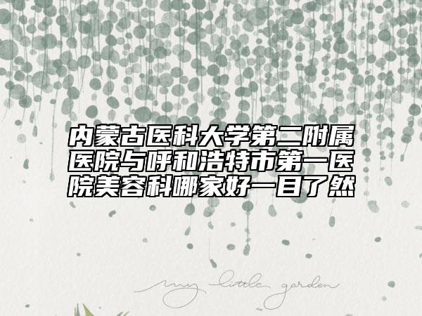 内蒙古医科大学第二附属医院与呼和浩特市第一医院美容科哪家好一目了然